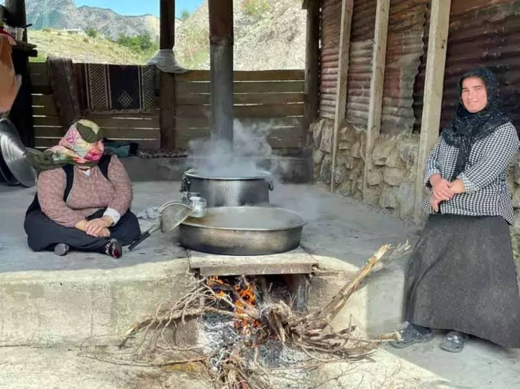 Anadolu'nun mucizesi: Doğal enerji kaynağı! Doğal beslenme akımının yeni yıldızı: Dut pekmezi 3